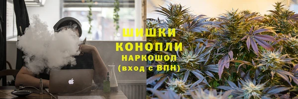 прущие грибы Верхний Тагил