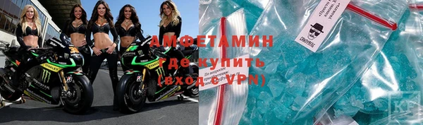 прущие грибы Верхний Тагил