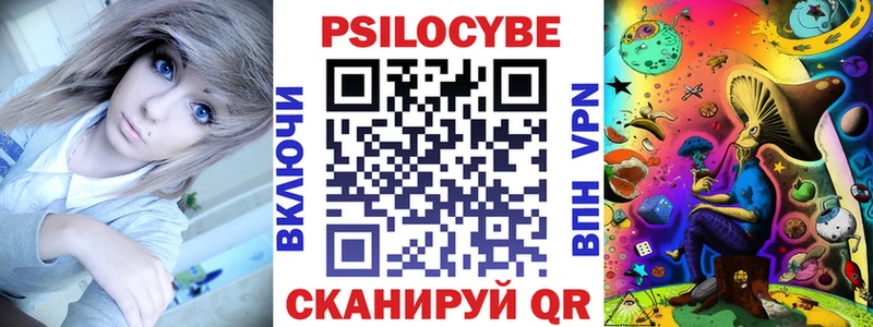 сколько стоит  Кимры  ссылка на мегу tor  Псилоцибиновые грибы Psilocybe 