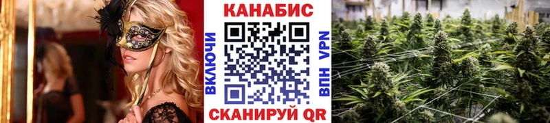 Бошки марихуана планчик  Кимры 